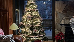 Un soggiorno accogliente con un albero di Natale addobbato, un divano in pelle e un camino in pietra.
