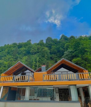 Reception - Masal Bungalov (Çamlıhemşin)