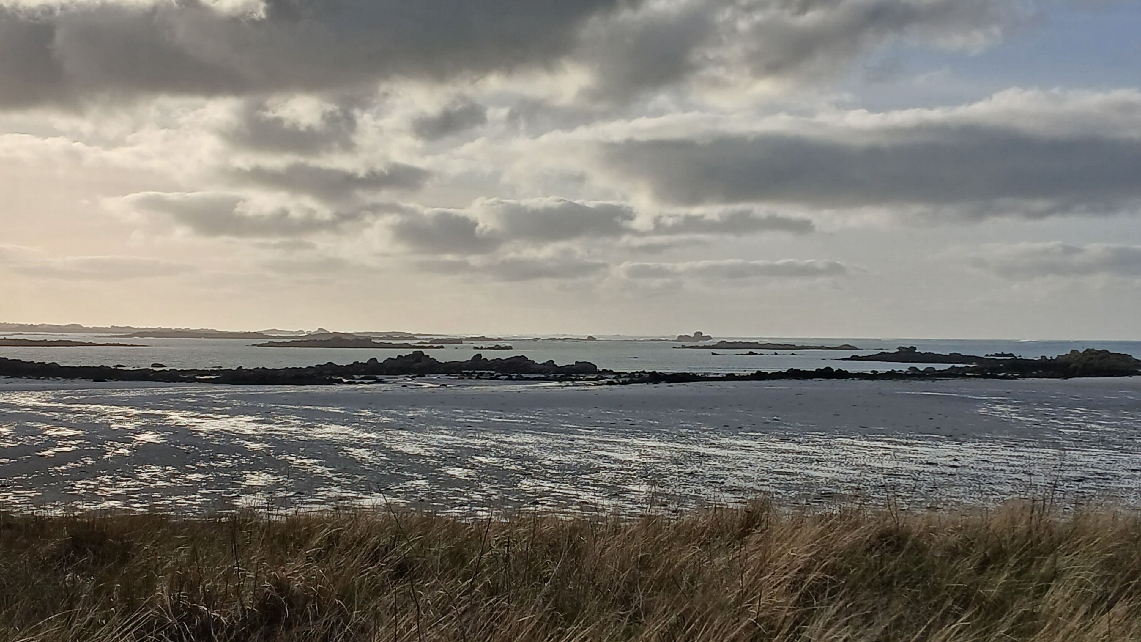 Nära stranden