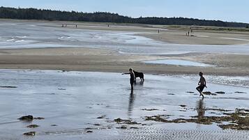 Nära stranden