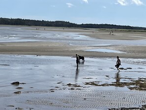 Plage à proximité
