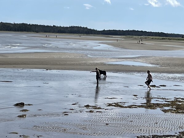 Playa