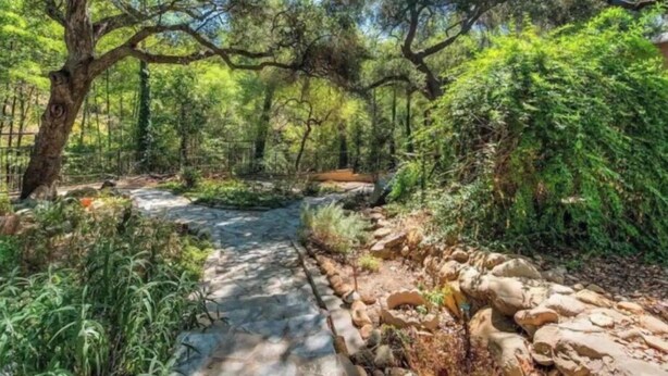 A forested area with a stone pathway leading through dense greenery and trees.