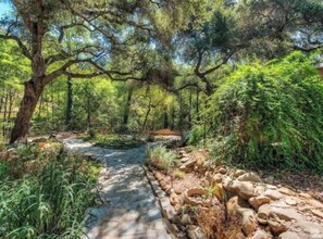 Property grounds - Sisar Creek Sanctuary in Upper Ojai, at the trailhead to Santa Paula waterfalls  (Santa Paula)