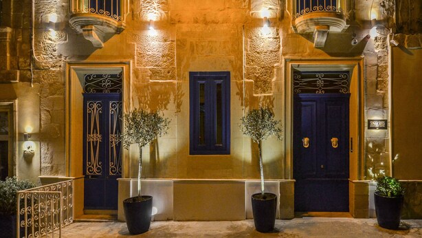 Fachada de edificio con dos puertas azul oscuro, cada una con detalles metálicos ornamentales y un pequeño árbol en maceta.