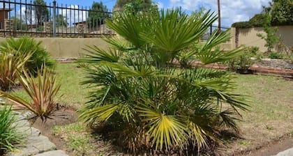 Cosy 2-bed House in Maseru for Perfect Calm and re