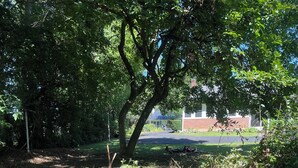 Un parque con tocones de madera dispuestos en círculo, rodeado de árboles y un edificio al fondo.