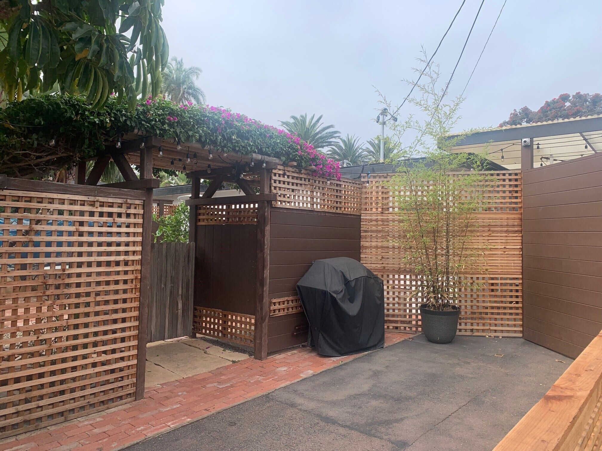 Een omheinde achtertuin met een houten pergola, een overdekte barbecue en een plant in pot.