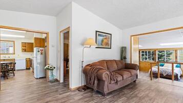 TV connectée, cheminée, livres