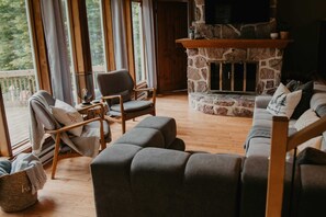 Televisión, chimenea, reproductor de DVD y libros 