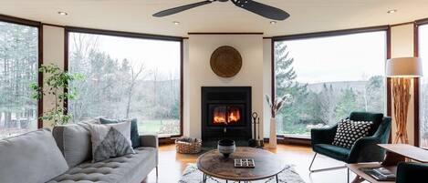 TV, fireplace, video games, books