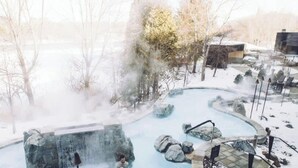 Ein Thermalgebiet mit Pool, Felsen und einem Wasserfall.