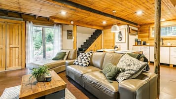 TV, fireplace, offices