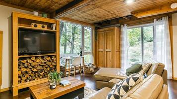 TV, fireplace, offices