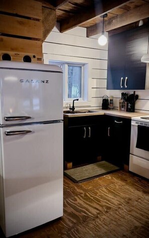 Fridge, microwave, oven, coffee/tea maker