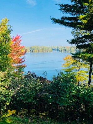 Un lago sereno rodeado de frondosa vegetación y árboles.