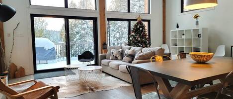 Télévision, cheminée, livres, espaces bureaux