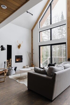 TV, fireplace, books, offices - Nômade - Spa, private lake access & stunning views (Chertsey)