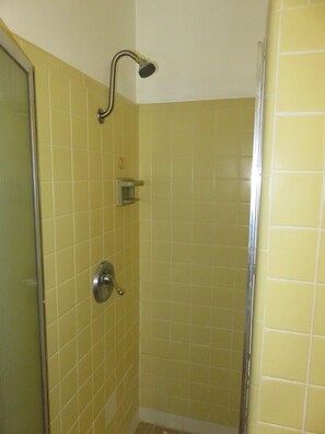 Combined shower/tub, hair dryer, towels, toilet paper - Charming 3-bedroom farmhouse with amazing views! (Durango)