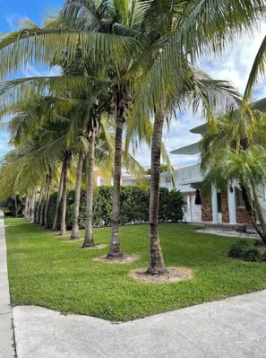 Property grounds - Totally Updated unit 5 min from the beach😍 You’ll love it !! (Key Biscayne)