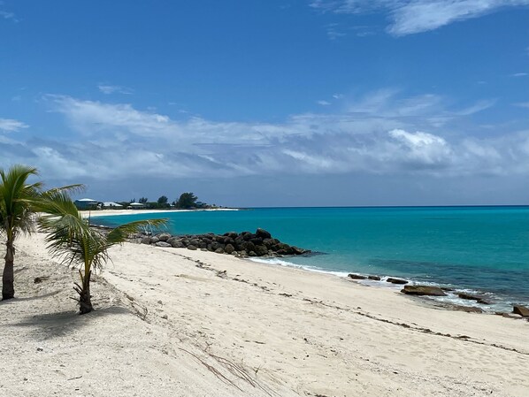 Beach - Bimini Cove Resort and Marina 1Br Condo (Port Royal)