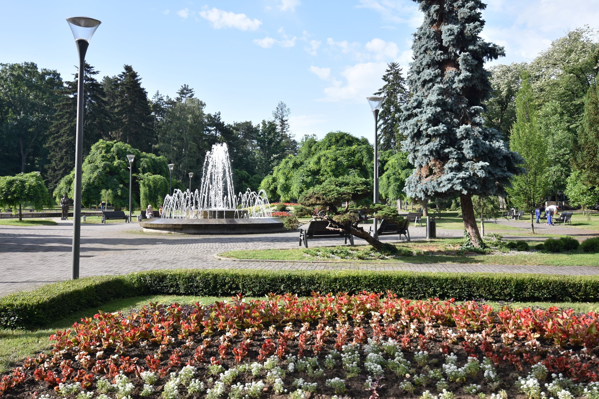 Jardines del alojamiento