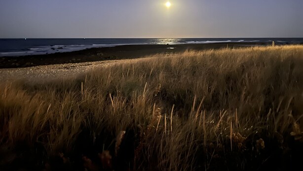Una playa al atardecer con el sol bajo en el horizonte, dunas cubiertas de hierba y un mar tranquilo.
