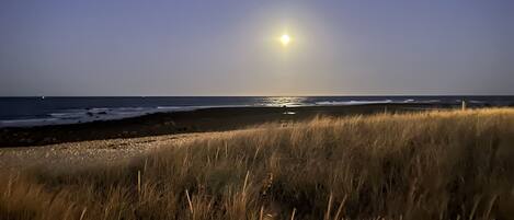 Sun loungers, beach towels