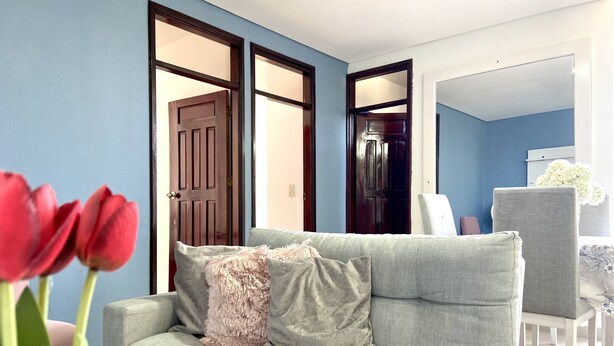 A living room with a grey sofa, a pink fluffy pillow, and a vase of red tulips. - Beautiful and cozy apartment in Mompós (Santa Cruz de Mompox)