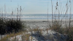 Een strand met duinen en grasland.