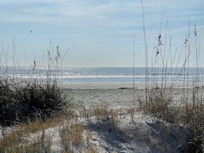 Una spiaggia nelle vicinanze