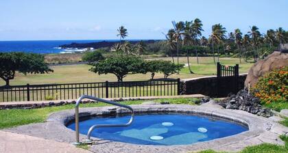 #25 Colony One at Sea Mt. Punalu`u