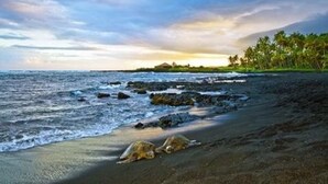Una playa con olas, rocas y una tortuga en la arena.