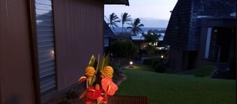 #71 Hidden Tiki Ohana at Punalu`u Black Sand Beach