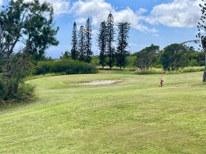 Golf - 2 Bedroom / 2 Bath Home on Golf Course with Stunni (Naalehu)