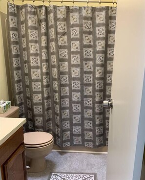 Baignoire, sèche-cheveux, serviettes fournies