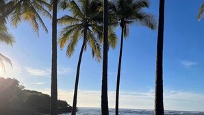 A beach with tall palm trees and a clear view of the ocean. - #04 Rest & Relax at Punalu`u Black Sand Beach (Pahala)