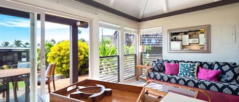 Télévision, lecteur de DVD, livres