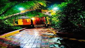 A pathway leading to a building with a tiled roof, surrounded by greenery.