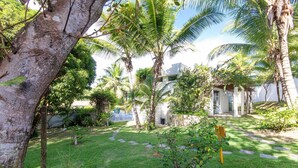 A lush garden with palm trees, a pathway, and a building in the background. - Casa da Árvore - com piscina privativa em Pipa por Carpediem (Tibau do Sul)