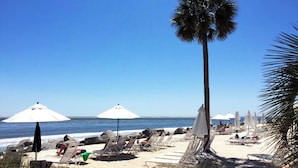 A beach with sun loungers and umbrellas, a palm tree, and the ocean in the background. - Seabrook Exclusives | 1377 Pelican Watch (Johns Island)