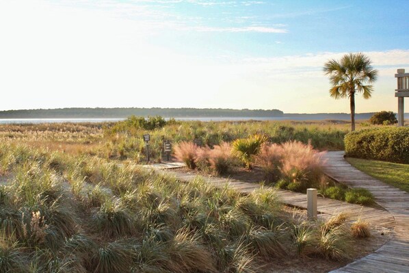 Property grounds - Seabrook Exclusives | 1383 Pelican Watch (Seabrook Island)