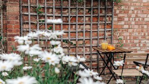 A brick wall with a wooden trellis, a wooden table with chairs, and a glass of orange juice.