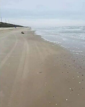 Enjoy a serene beach experience with gentle waves and soft sand.