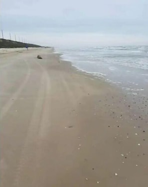 Enjoy a serene beach experience with gentle waves and soft sand.
