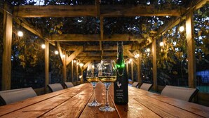 Ein Holztisch mit zwei Weingläsern und einer Flasche Hahnn-Wein.