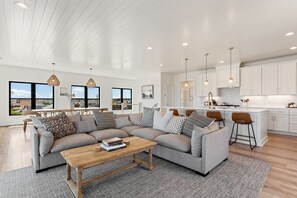 TV, fireplace, offices