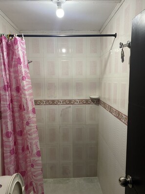 Shower, hair dryer, towels, toilet paper