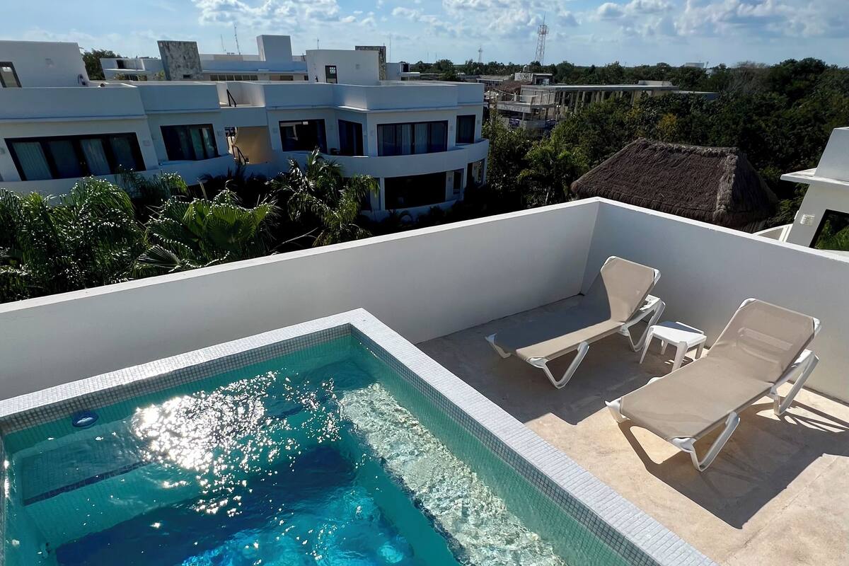 Outdoor pool, sun loungers