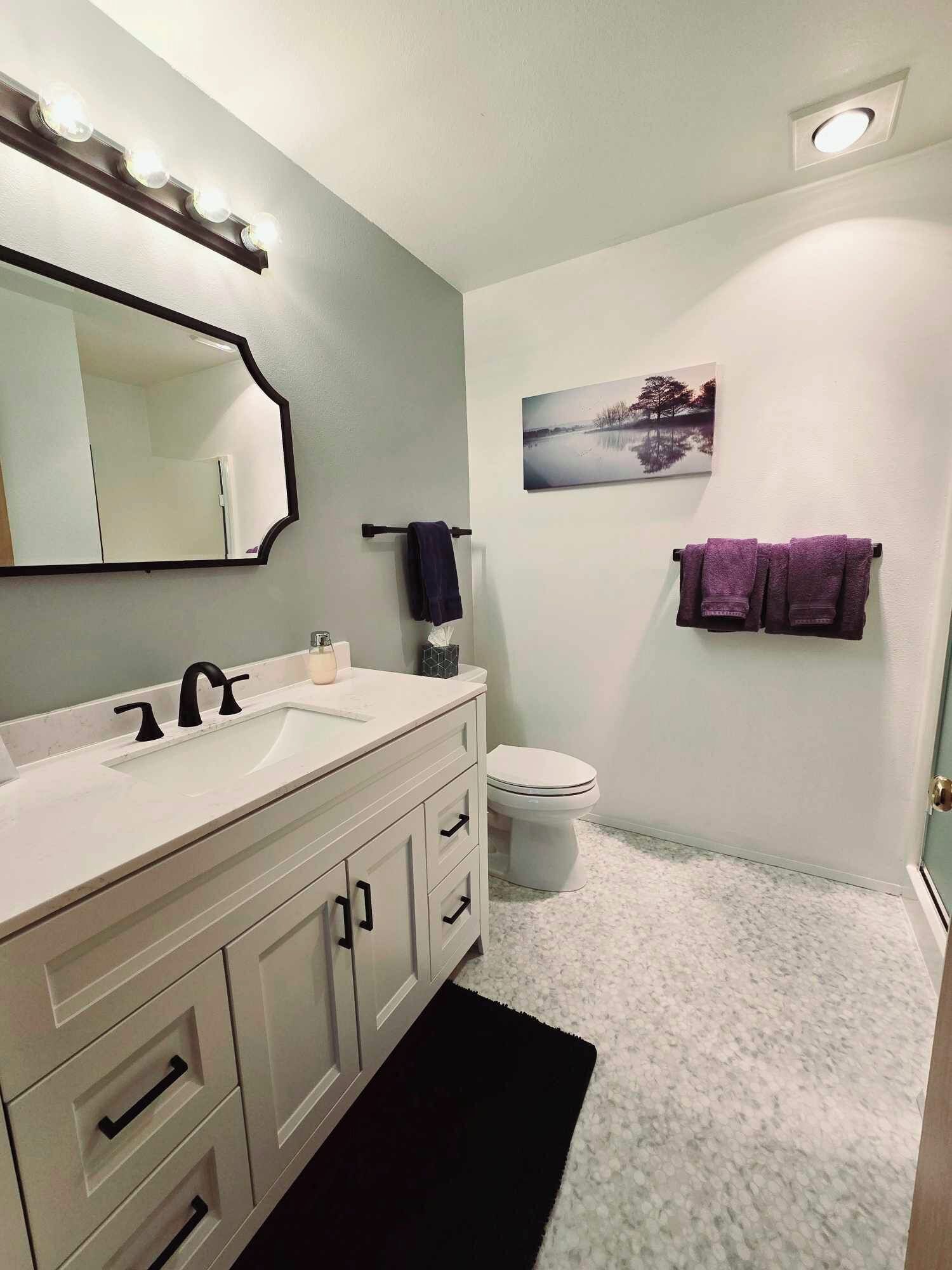 Un bagno con un mobile lavabo bianco, uno specchio, un lavandino, un water e un tappeto nero.